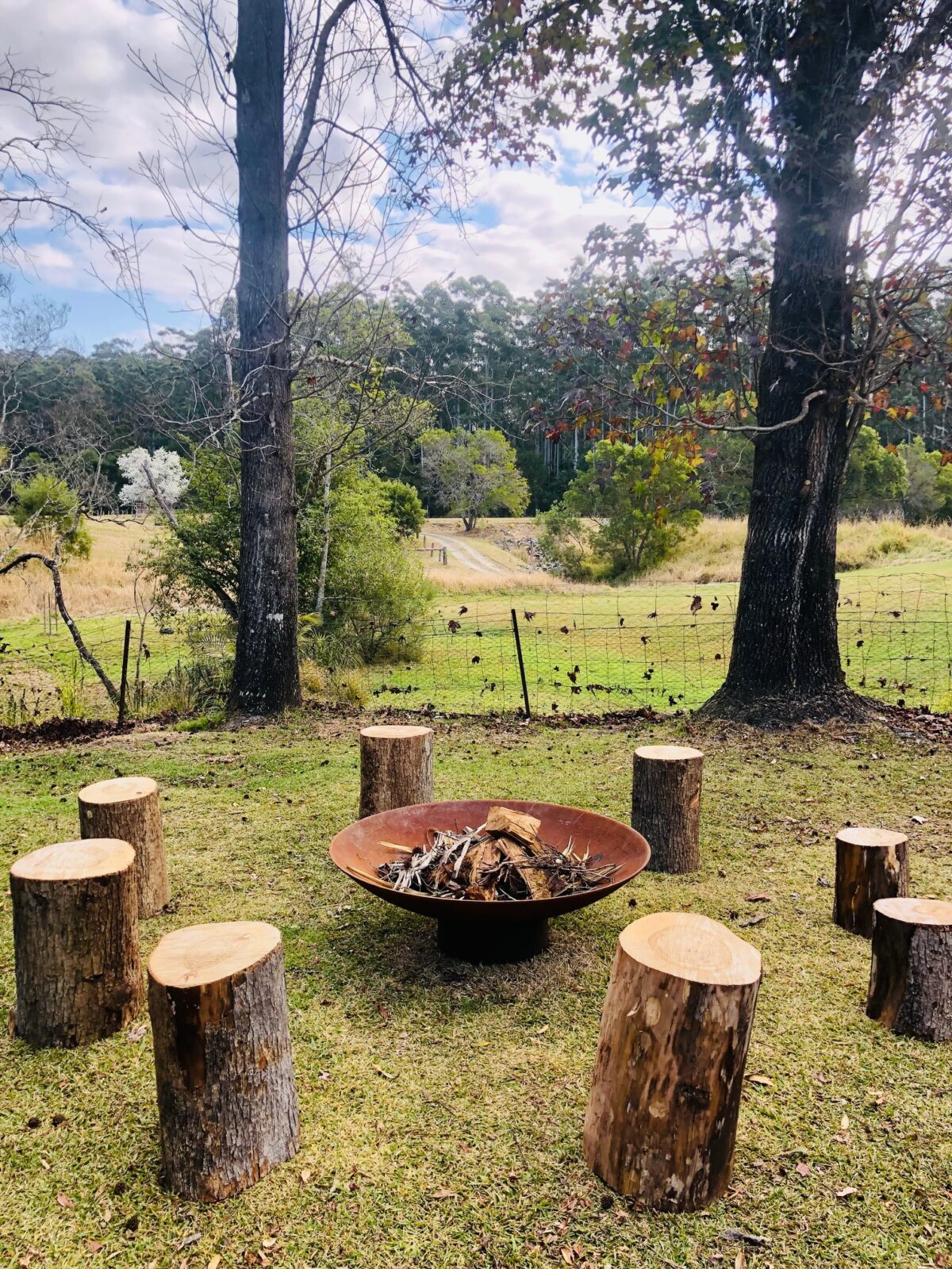 A cast iron Cauldron ringed by log stools on a lawn under tall trees, with paddocks behind