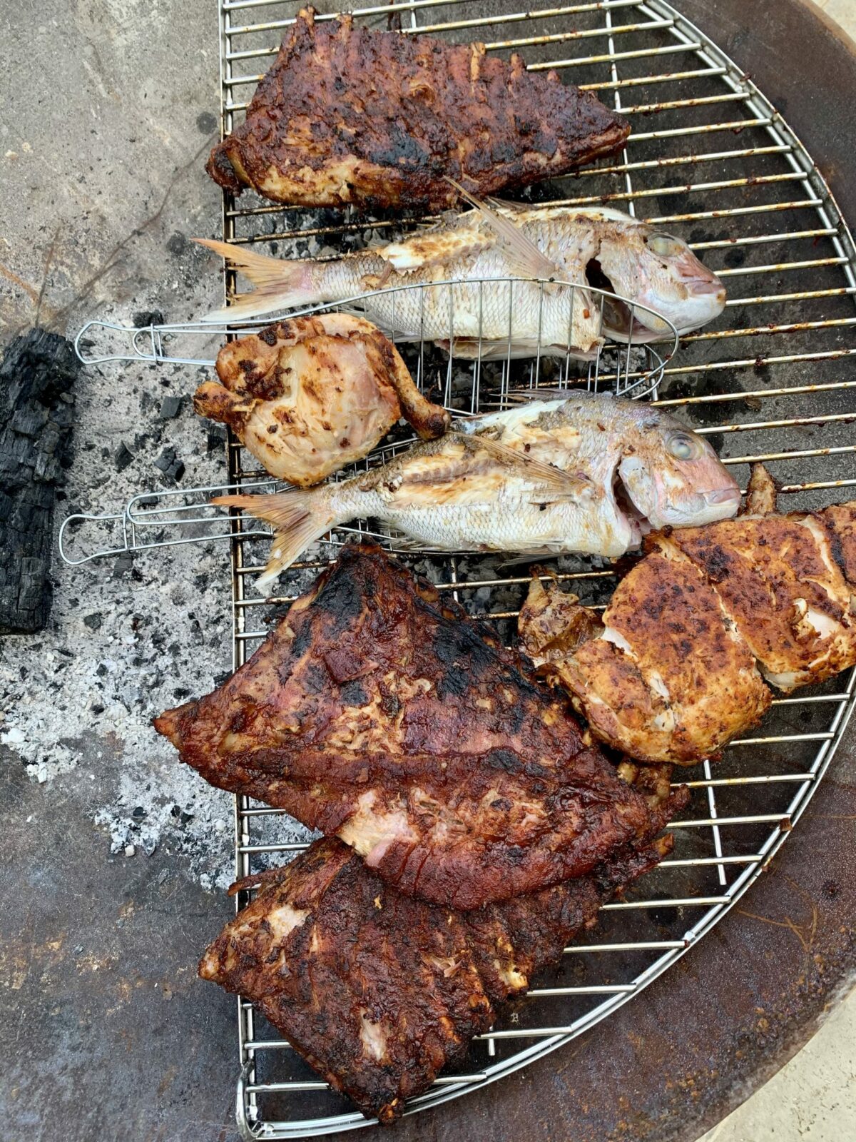 Whole snapper, chicken and marinated meat on a half-moon stainless grill, bare coals showing on the open side