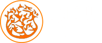 Unique Fire Pits